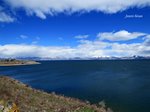 34-IMG_0549